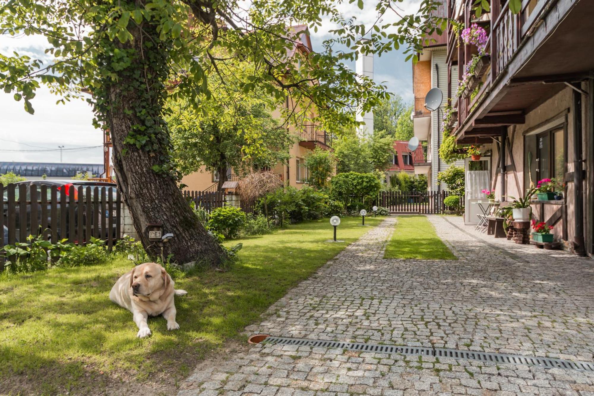 Apartament Dom Pod Górkami Szczawnica Zewnętrze zdjęcie